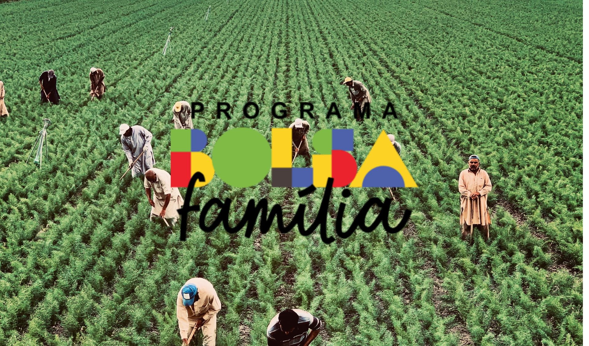 Beneficiários do Bolsa Família: Sua OPORTUNIDADE de Trabalho Temporário no Agro chegou!
