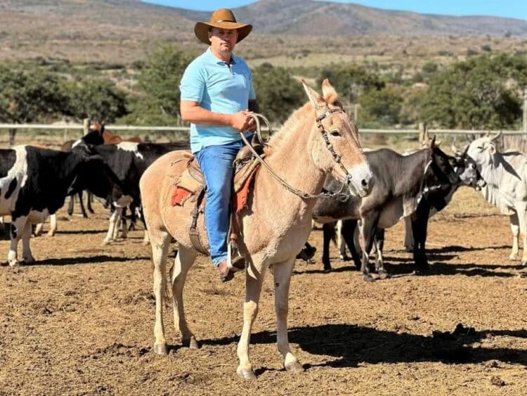 Homem com chapéu de caubói montado em um burro, em um curral com gado ao fundo, ilustrando a posse de bens rurais.