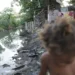 Desigualdade: você não imagina quantas famílias vivem sem banheiro 11 Criança sem camisa perto de rio poluído com lixo e entulho nas margens em área urbana